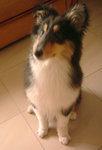 DSCF5536
