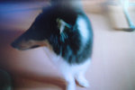 DSCF6104
