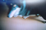 DSCF6107
