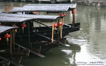 1IMG_4995