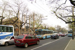 IMG_0482 copy