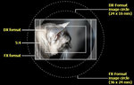 D3 viewfinder crop (FX format)