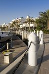 _MG_8099