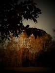 IMG_0114