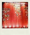 IMG_0123