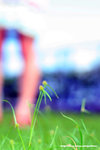 �Ӥ� 061