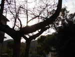 DSC02270