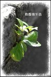 
�b�x������...�ڭn���U�h