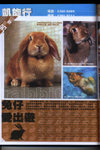 

dogs magazine w1