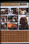 

dogs magazine w2