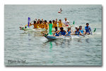 DSC_0008-2p