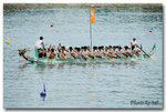 DSC_0013-2p