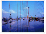 nEO_IMG_2735-006