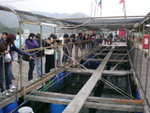 DSCN3754