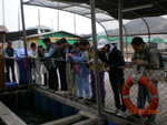 DSCN3757