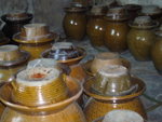 P1000100