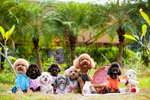 hc009-IMG_3870