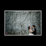VMP0008-B80I3595