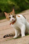 nEO_IMG_IMGP0049