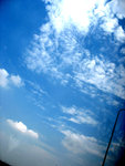 IMG_0677CC