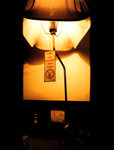 night_fire