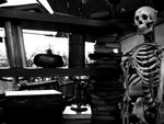 IMG_2456P