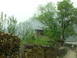 DSCN7627