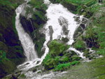 DSCN7635