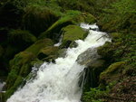 DSCN7638