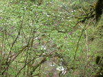 DSCN7644