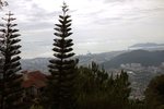 penang ����