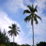 resort ��beach