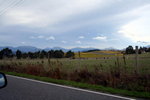 0507 PM Motueka_Grey Mouth 11