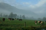 0510 Fox_wanaka 04