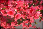 DSCN4213