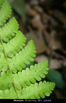 DSCN4839