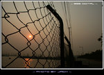 DSCN3654