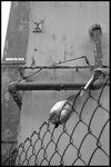 DSCN8678