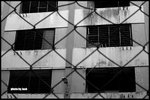 DSCN8682