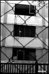DSCN8683