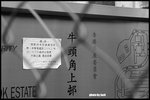 DSCN8684