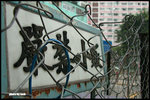 DSCN8689
