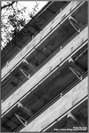 IMG_1669