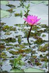 IMG_3740