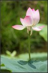 IMG_3760