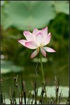 IMG_3788