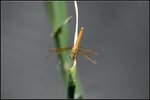 IMG_3860