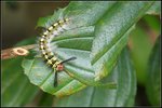 IMG_3877