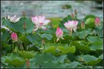 IMG_3887