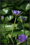IMG_8697